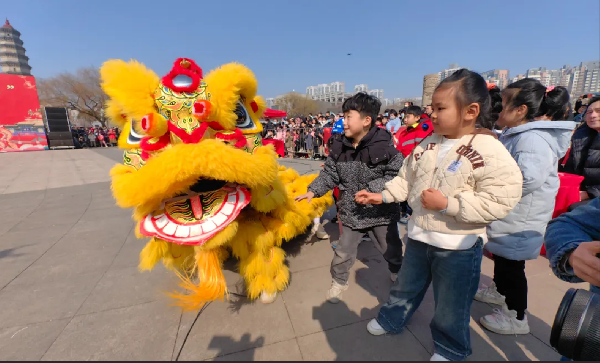 棗莊市2024年“辰龍集團(tuán)杯”龍獅爭霸賽舉行